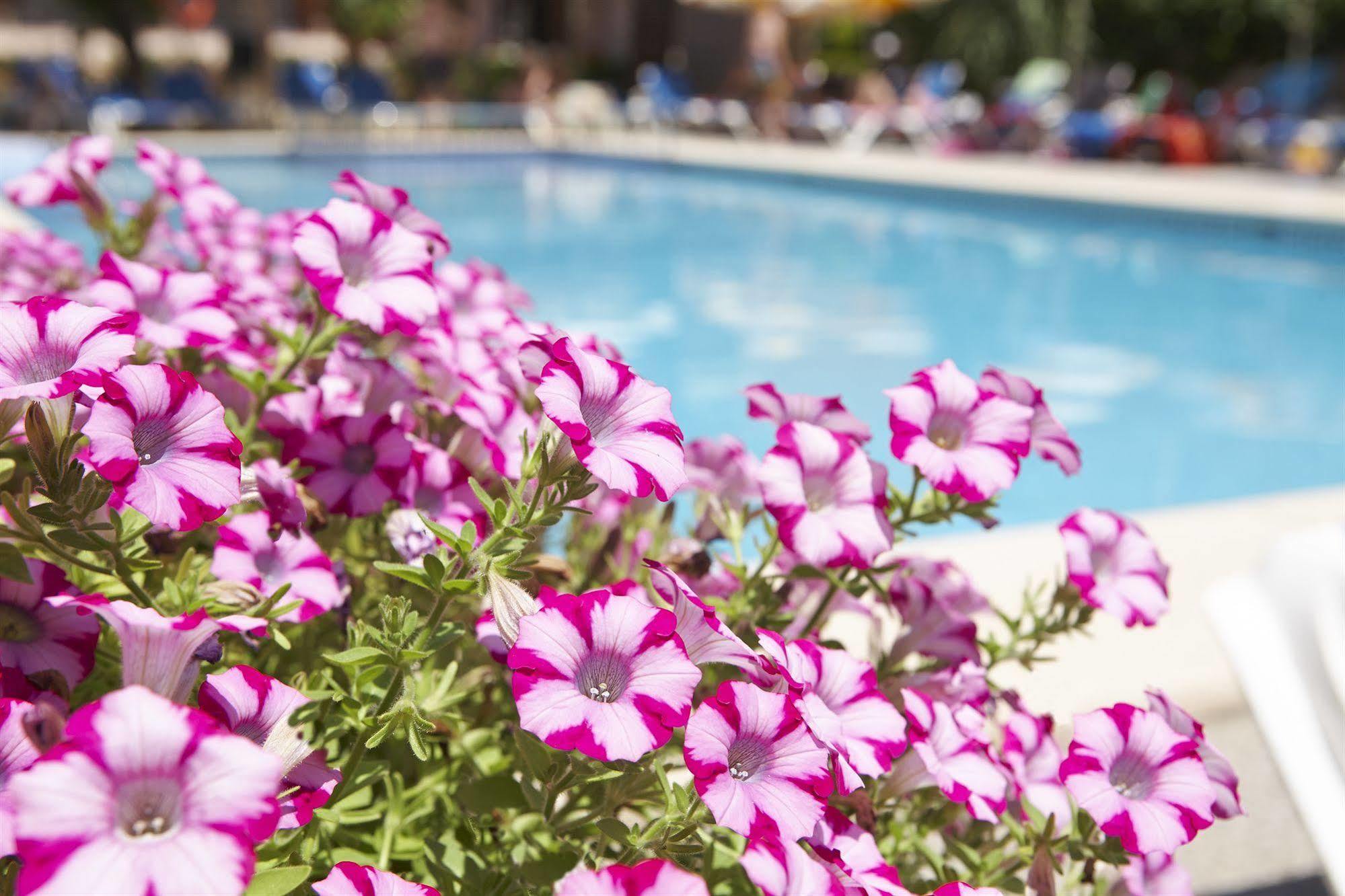 Universal Hotel Bikini Cala Millor  Exterior photo